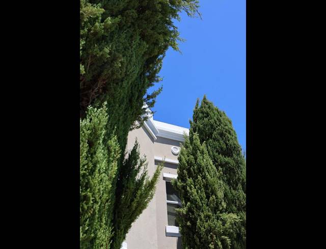 BUSINESS PROPERTY TO RENT IN HIGH CAPE